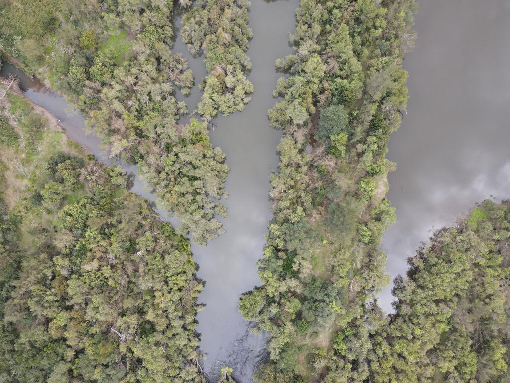 1464 Paddys Flat Rd, Tabulam, NSW 2469