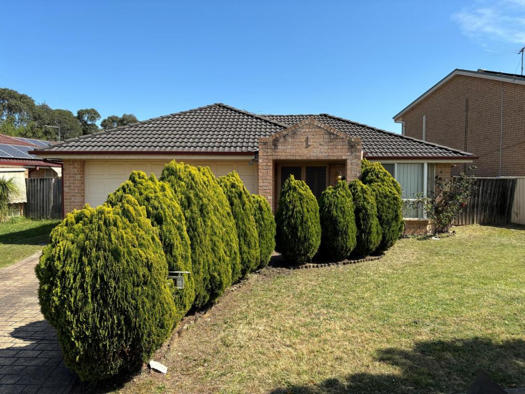 10 Alexander Pde, Blacktown, NSW 2148