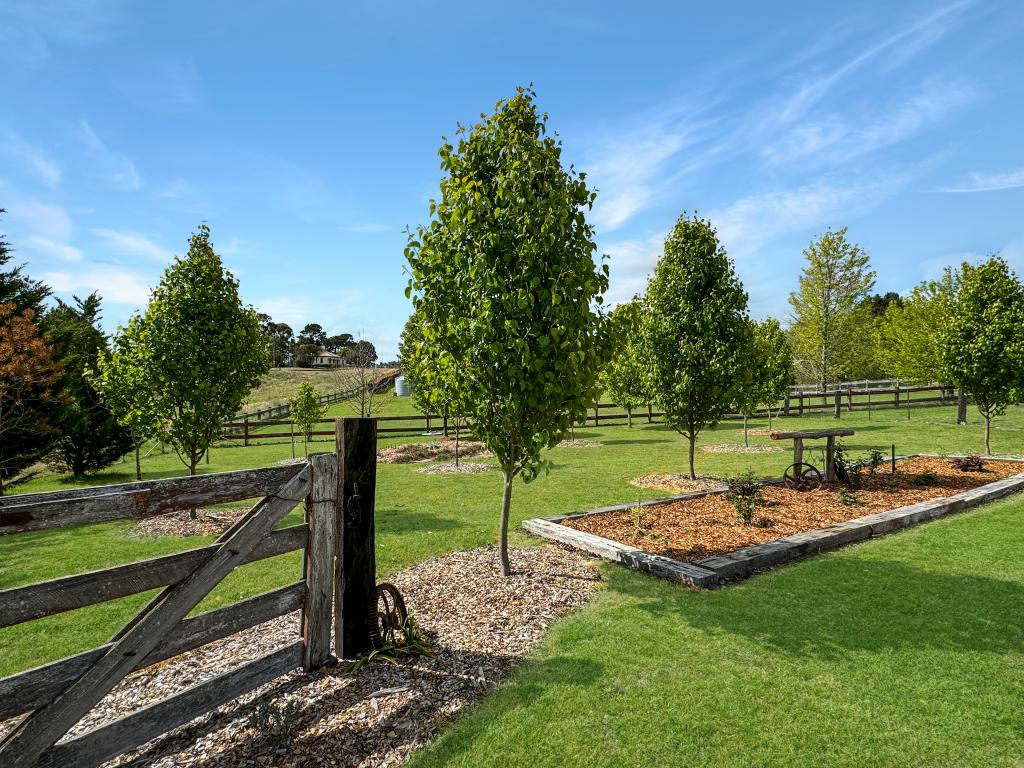 1 Sandon Cl, Uralla, NSW 2358