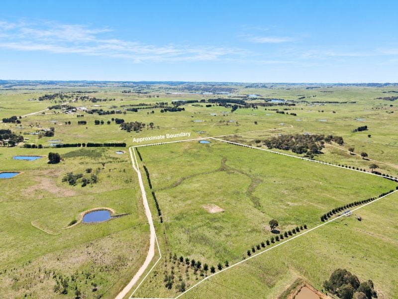 187 Woodhouselee Rd, Wayo, NSW 2580