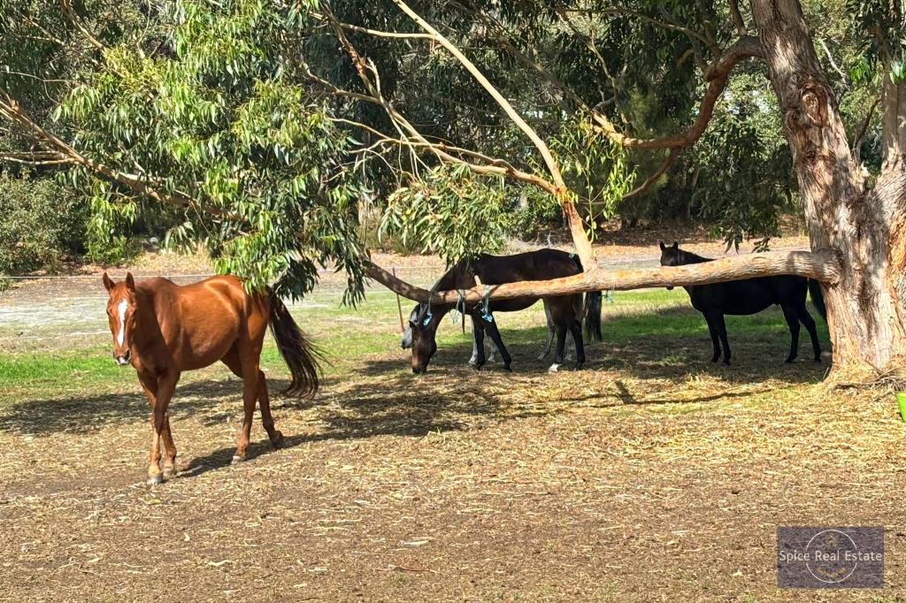 124 Sheoak Dr, Hay, WA 6333