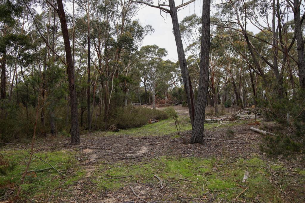 1887 Oallen Ford Rd, Oallen, NSW 2622