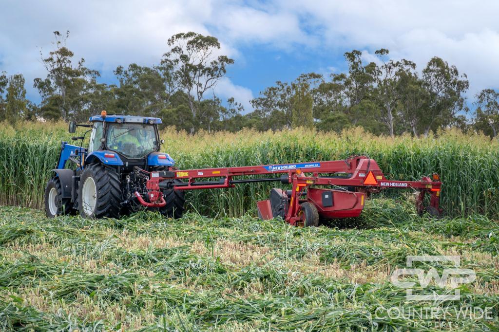 Lot Plain View South/916 Emmaville Rd, Glen Innes, NSW 2370