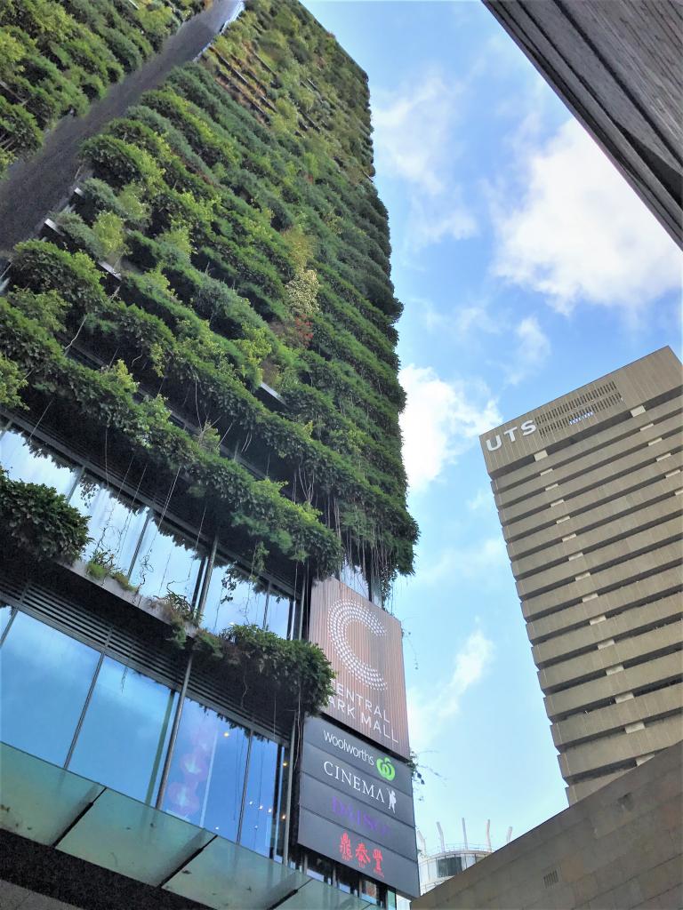 2513.1/3 Carlton St, Sydney, NSW 2000