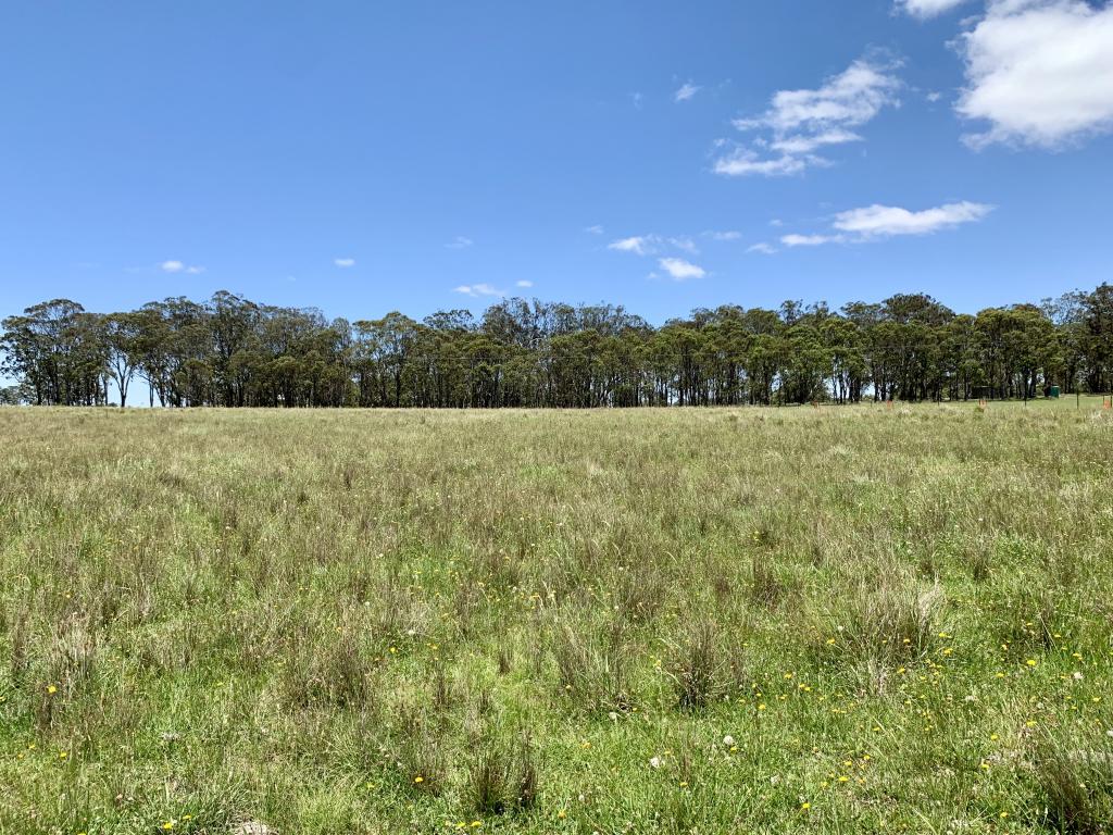 5454 Mount Lindesay Rd, Liston, NSW 2372