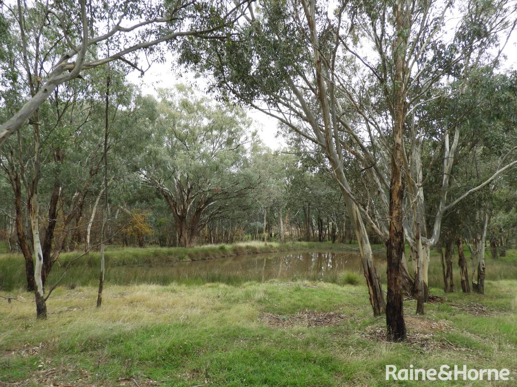 Part 4735 Olympic Hwy, Young, NSW 2594