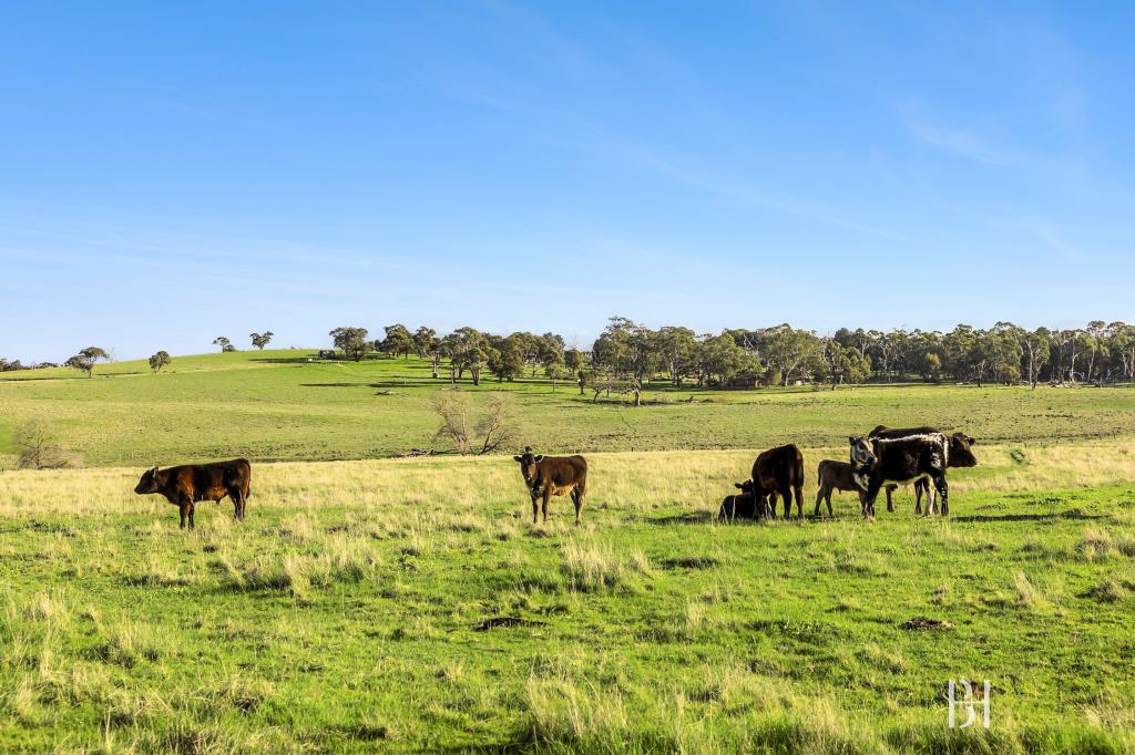 615 Old Mill Rd, Bylands, VIC 3762