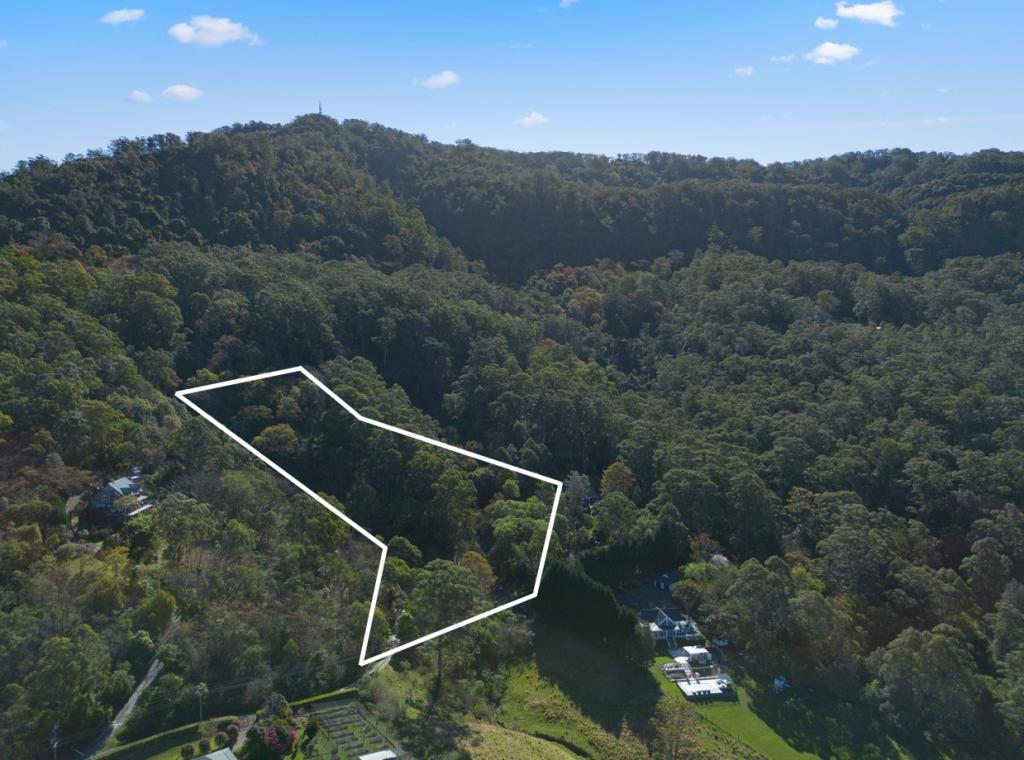 RED CEDAR LANE, MEROO MEADOW, NSW 2540