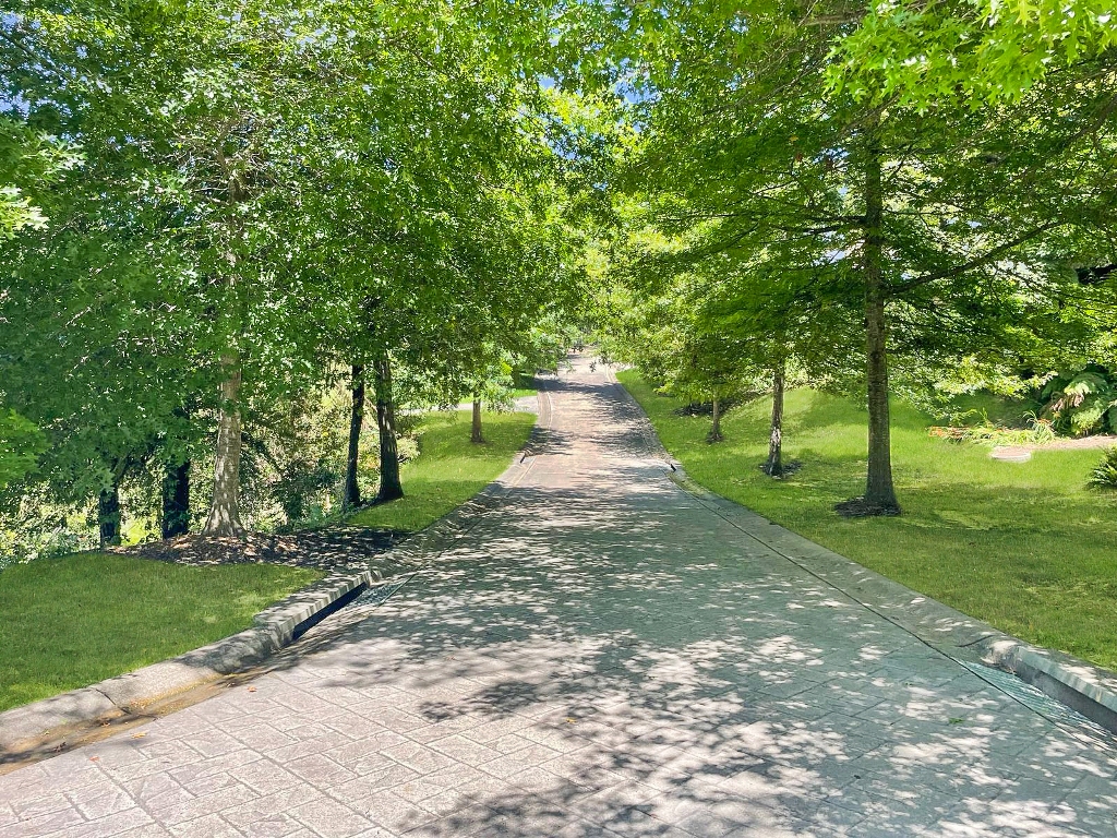 18-120 Craigend St, Leura, NSW 2780