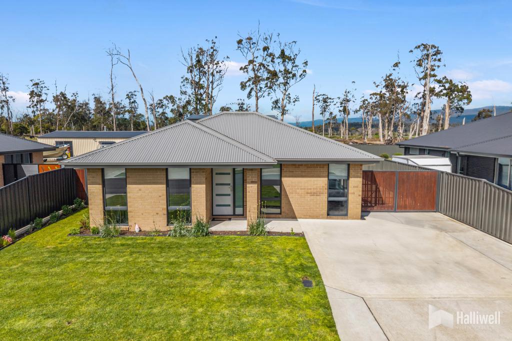 30 Calthorpe St, Latrobe, TAS 7307