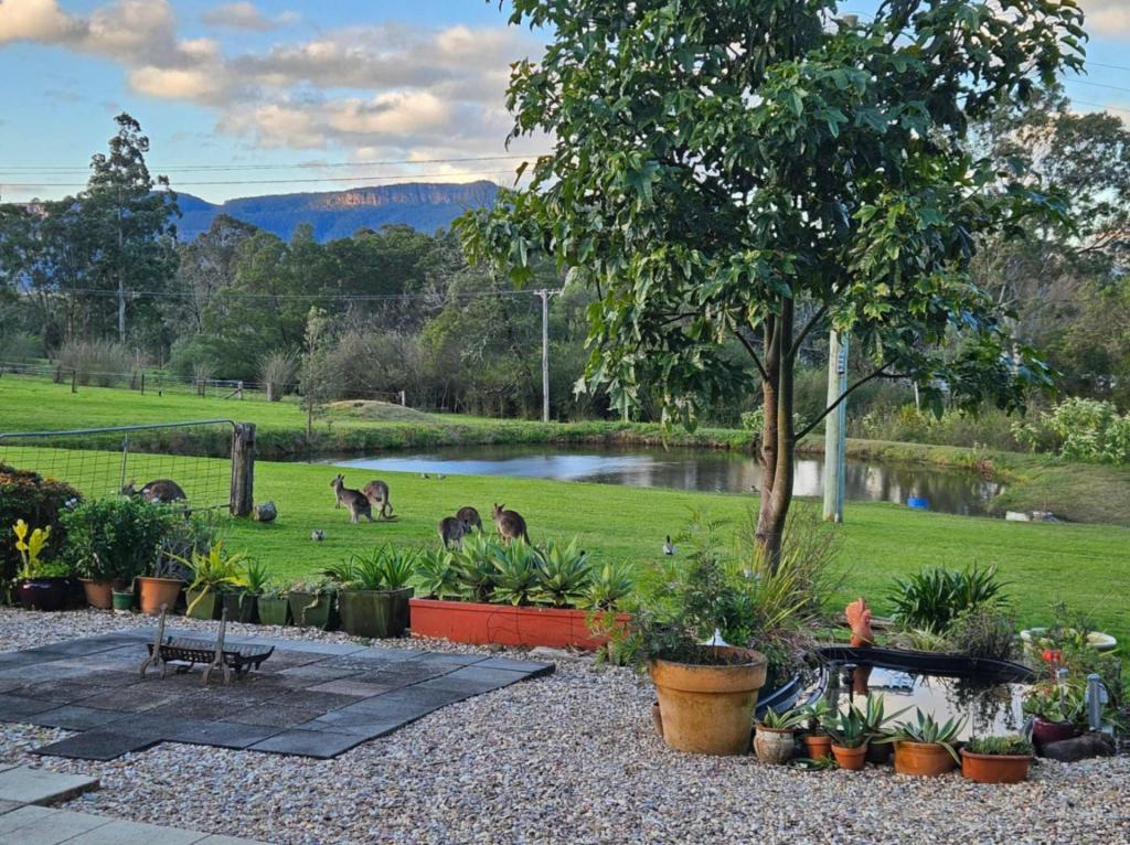60 Mount Scanzi Rd, Kangaroo Valley, NSW 2577