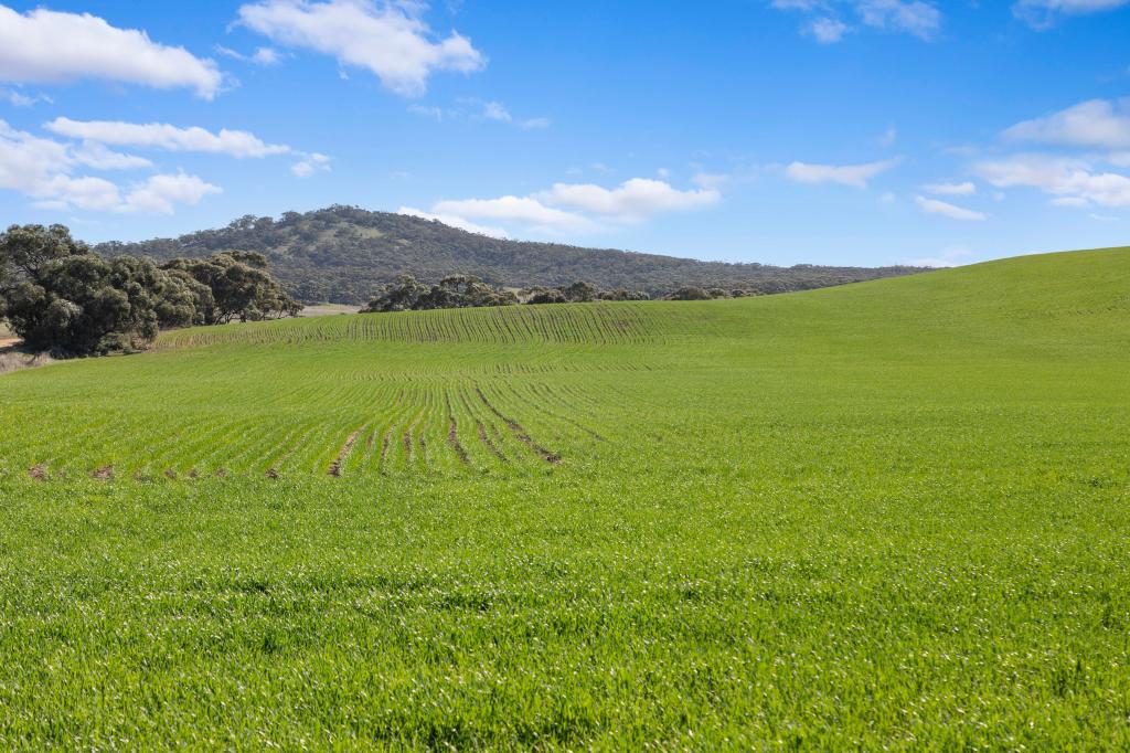 'Gum View Hills' Gorge Rd, Black Rock, SA 5431