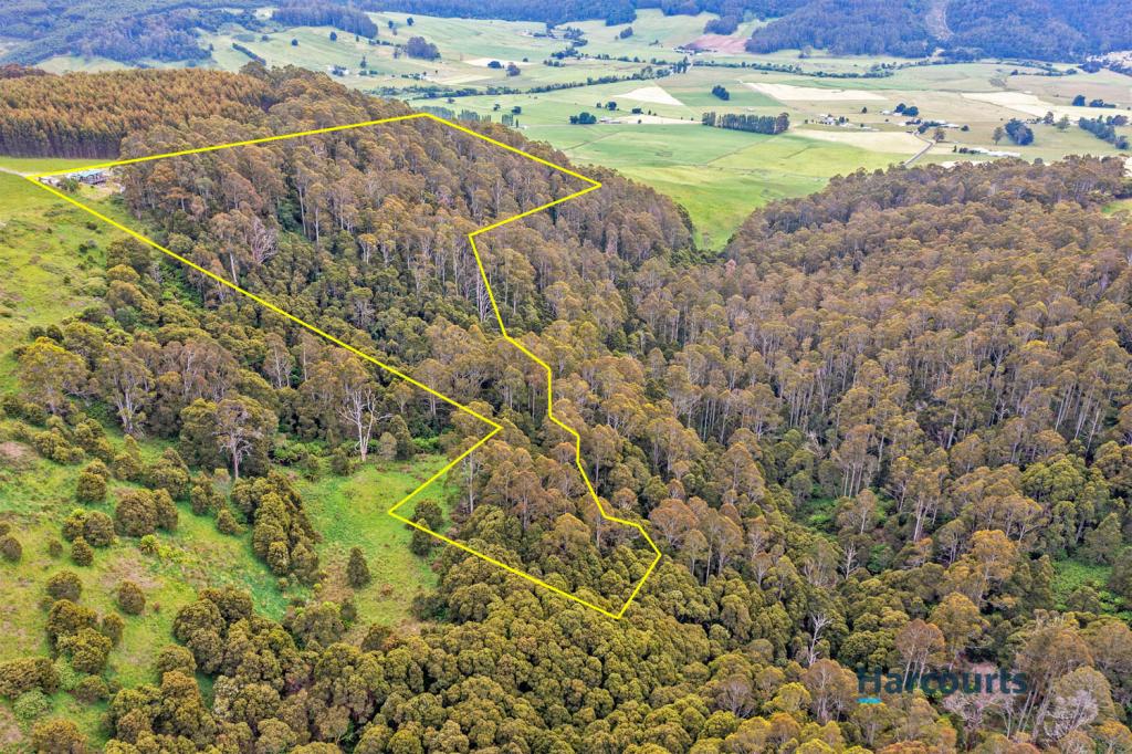 52 Reids Rd, Preston, TAS 7315