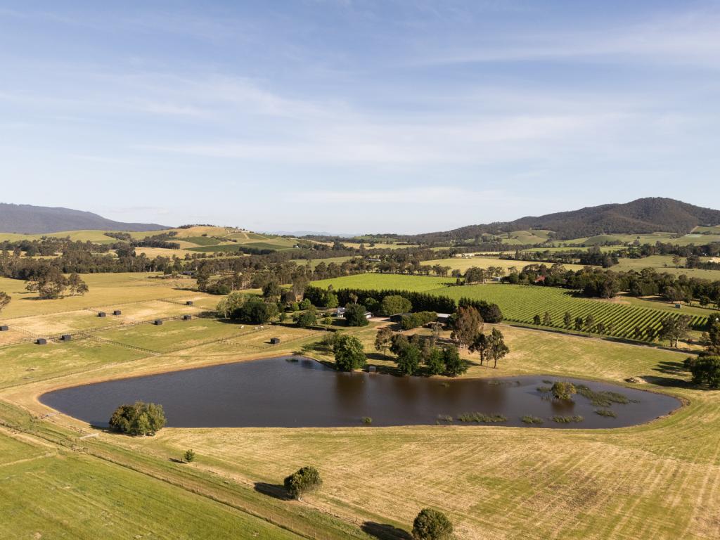 7 Maddens Lane, Coldstream, VIC 3770