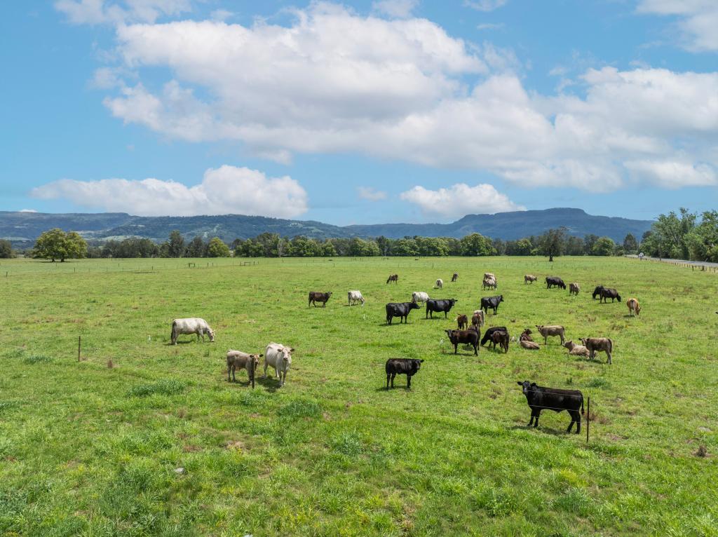 639e Coolangatta Rd, Berry, NSW 2535