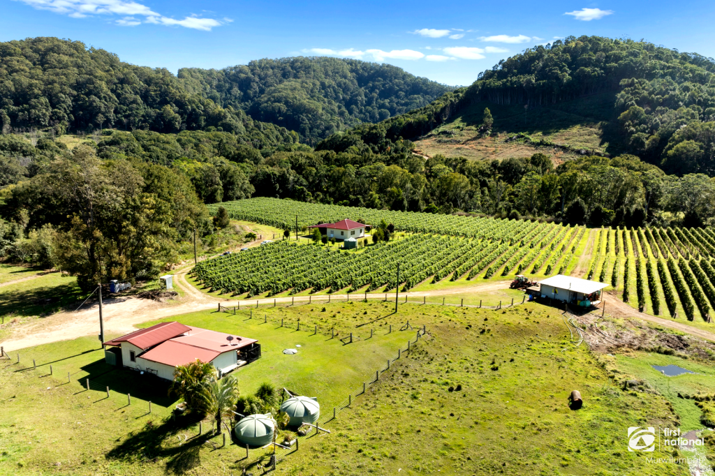 517 Upper Burringbar, Upper Burringbar, NSW 2483