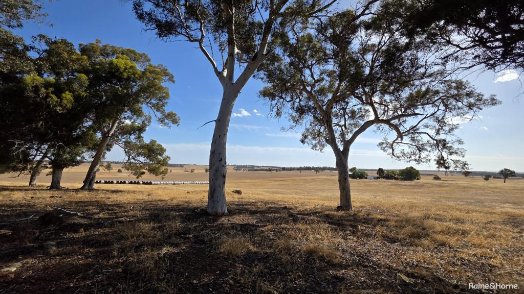 1128 BOKAL RD S, MOKUP, WA 6394