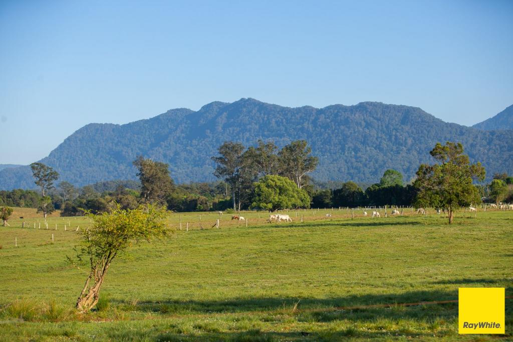 1531 WATERFALL WAY, BELLINGEN, NSW 2454