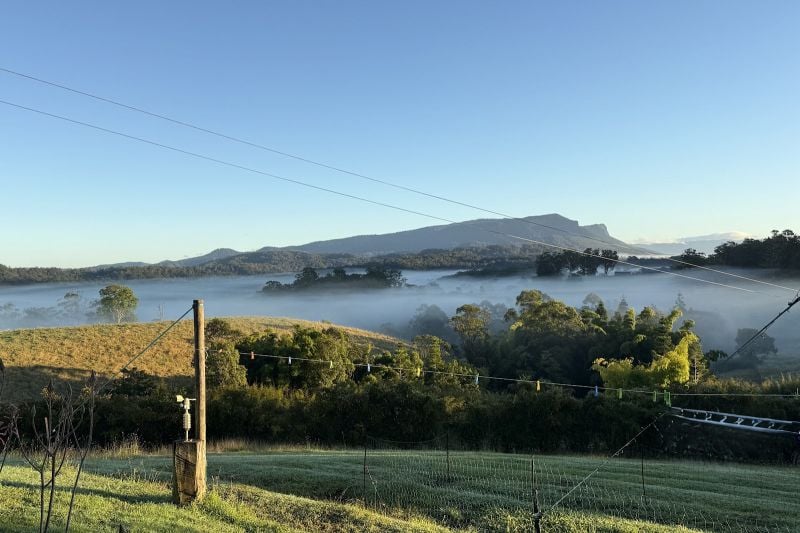 297 Stanger Rd, Stony Chute, NSW 2480