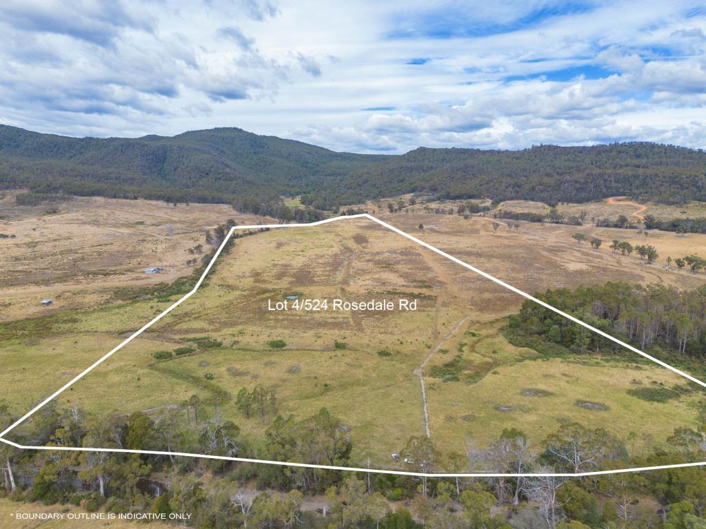 Lot 4/524 Rosedale Rd, Bicheno, TAS 7215