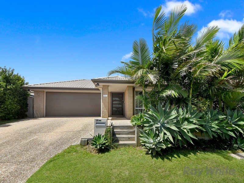 14 Spearmint St, Griffin, QLD 4503