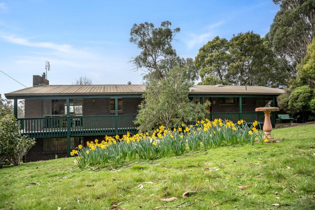 43 Masons Rd, Rosevears, TAS 7277