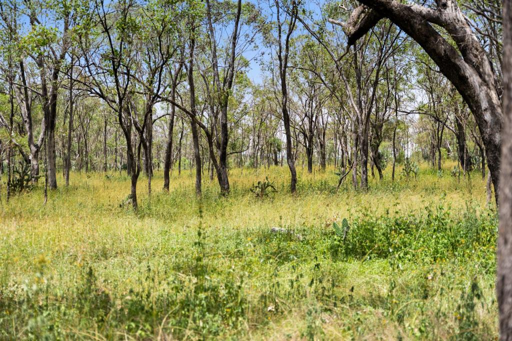 "Keheler Park" Lot89 Springate Lane, Pratten, QLD 4370
