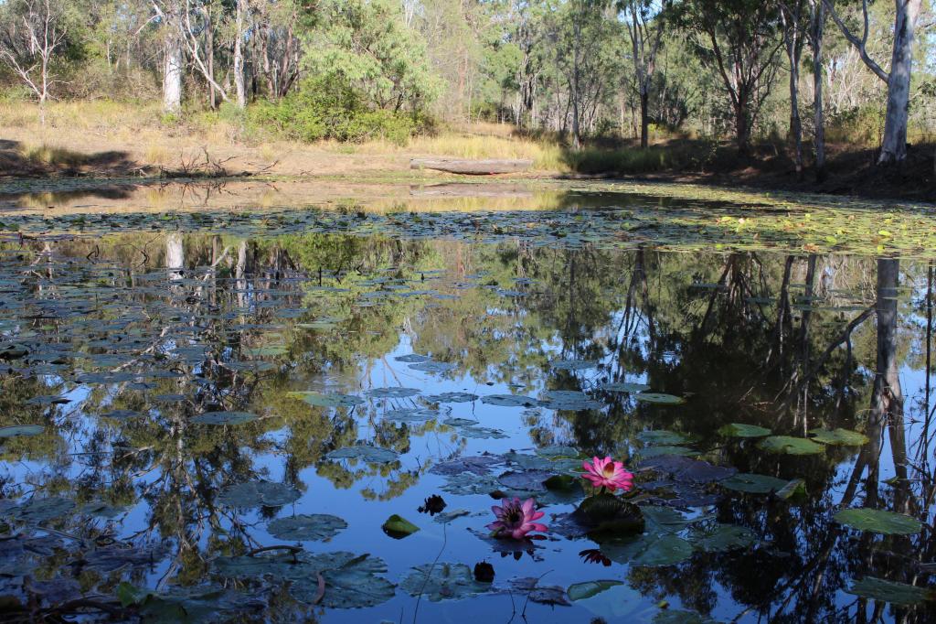 181 Daisy Dell Rd, Bororen, QLD 4678