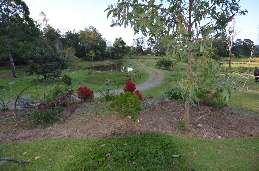 153 F Lindsay Rd, Rocksberg, QLD 4510