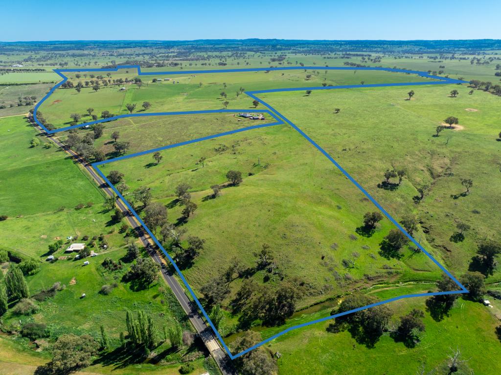 1097 DAVYS PLAINS RD, CUDAL, NSW 2864