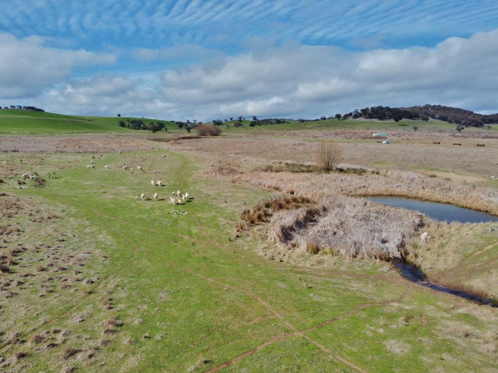 127 Calabash Road, Murringo, Via, Young, NSW 2594