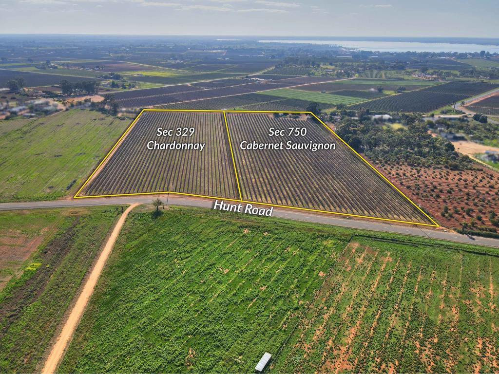 184 Caddy Rd, Barmera, SA 5345