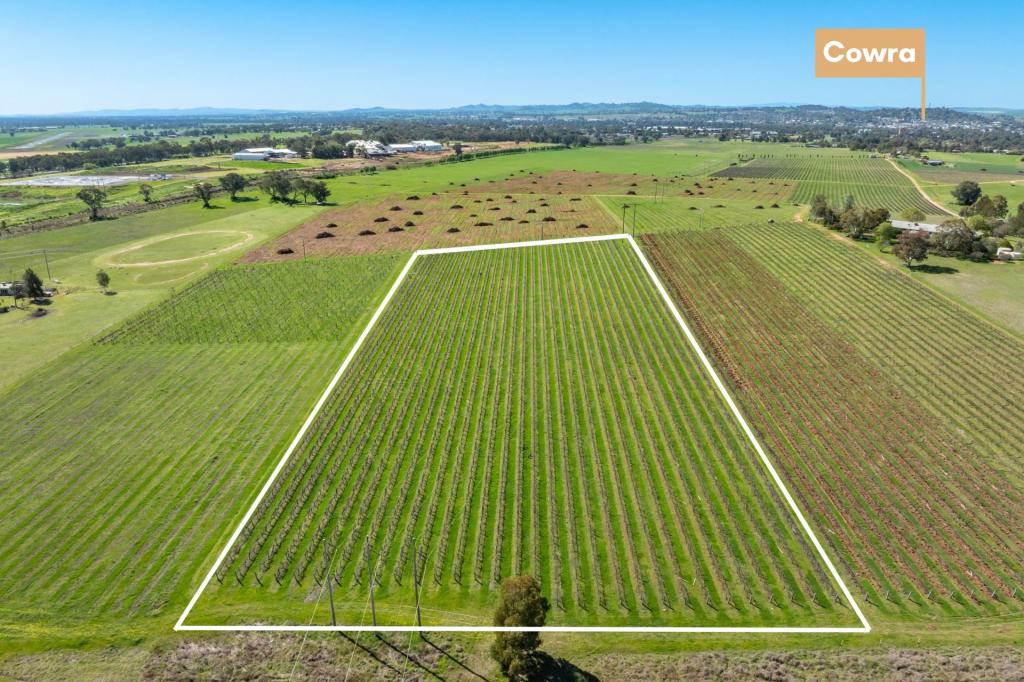 106 Anderson Lane, Cowra, NSW 2794