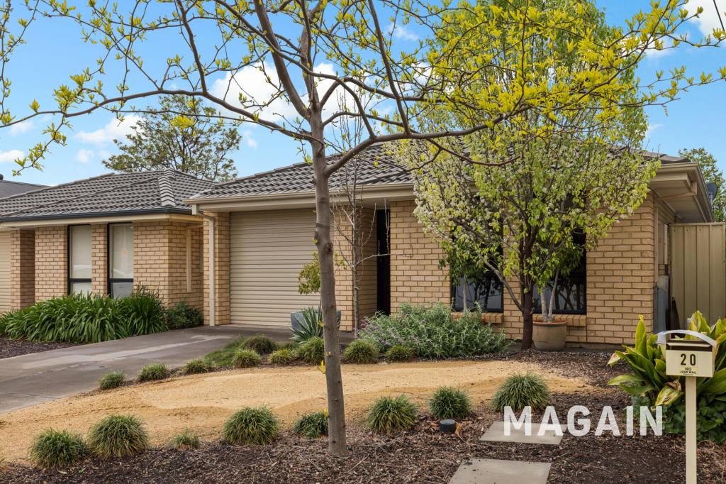 20 Dodd Ave, Port Noarlunga, SA 5167