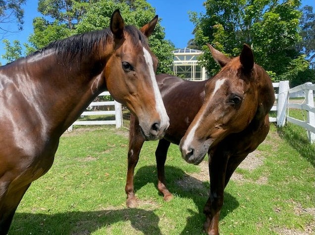 120 A Hermitage Rd, Kurrajong Hills, NSW 2758