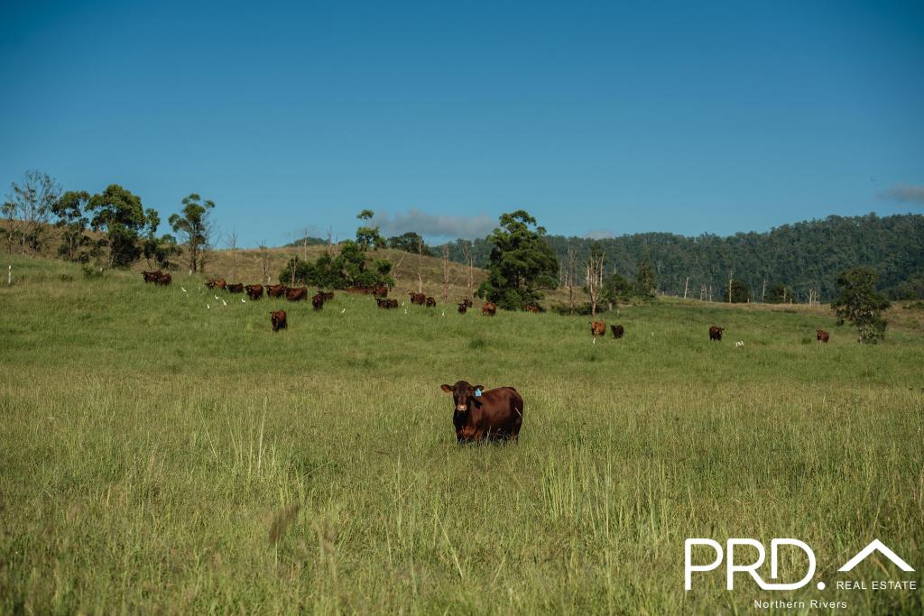 Lot 27, 46 Lynches Creek Rd, Wiangaree, NSW 2474