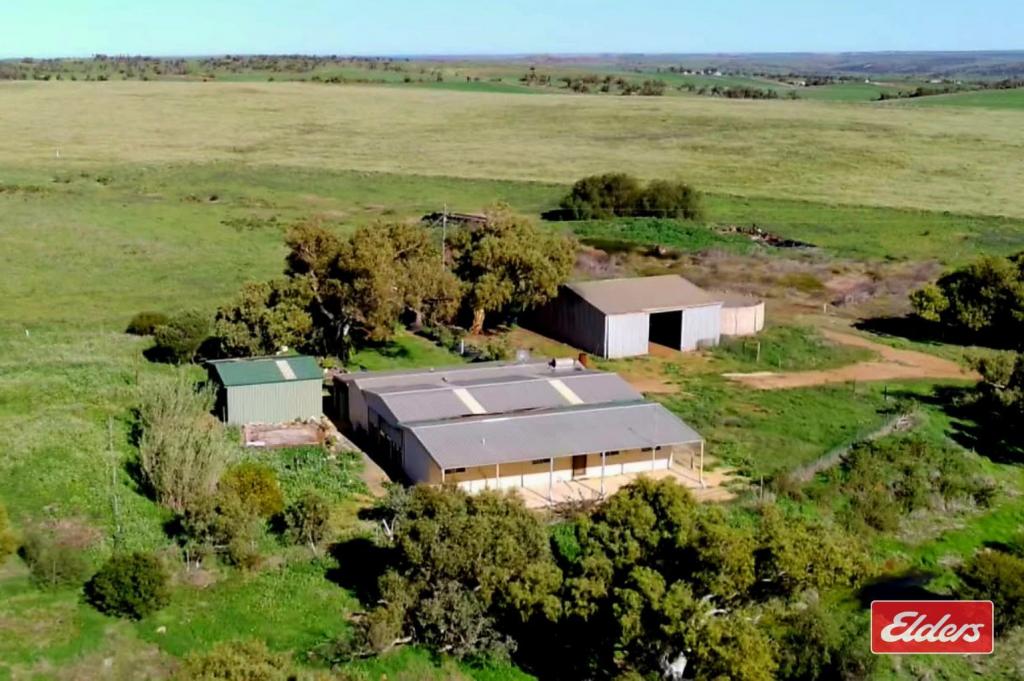 100 Johnson Rd, Alma, WA 6535