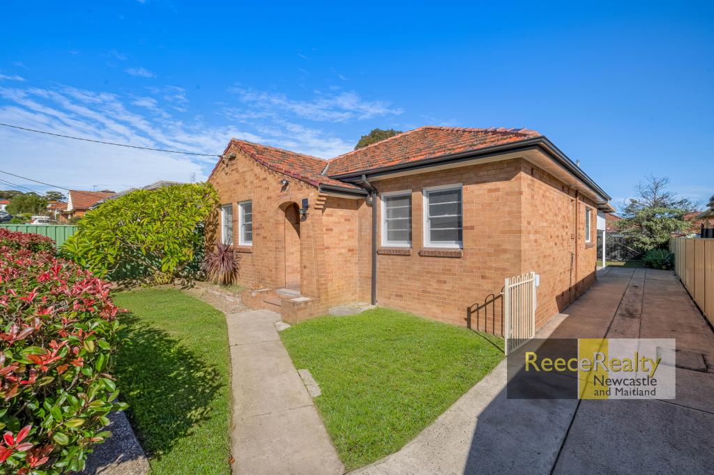 23 Catherine St, Waratah West, NSW 2298