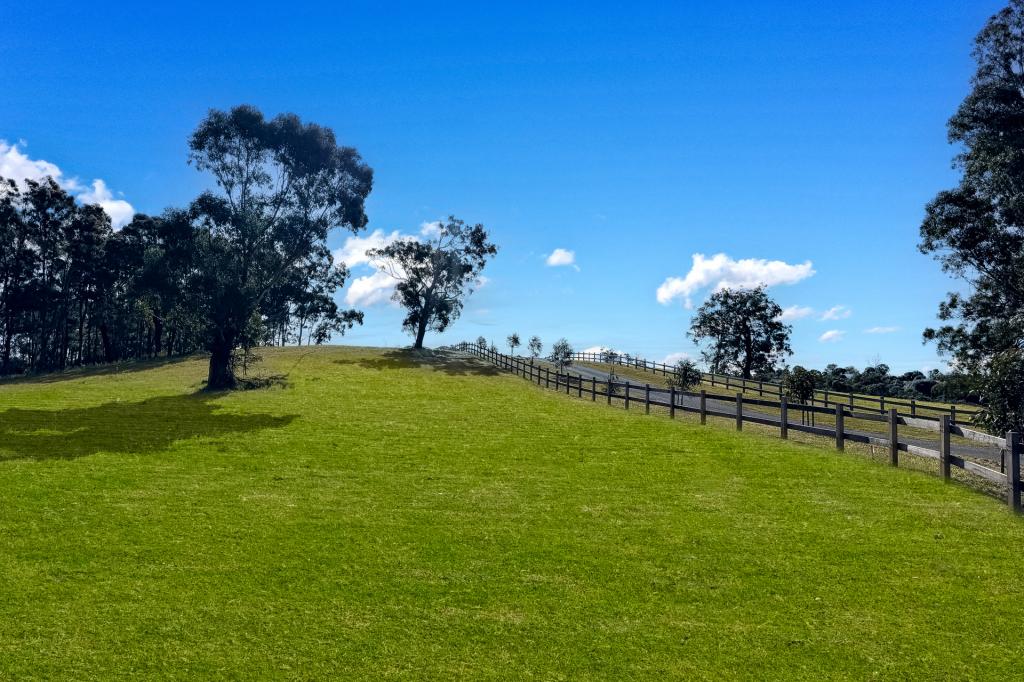 14 Westminster Pl, Razorback, NSW 2571