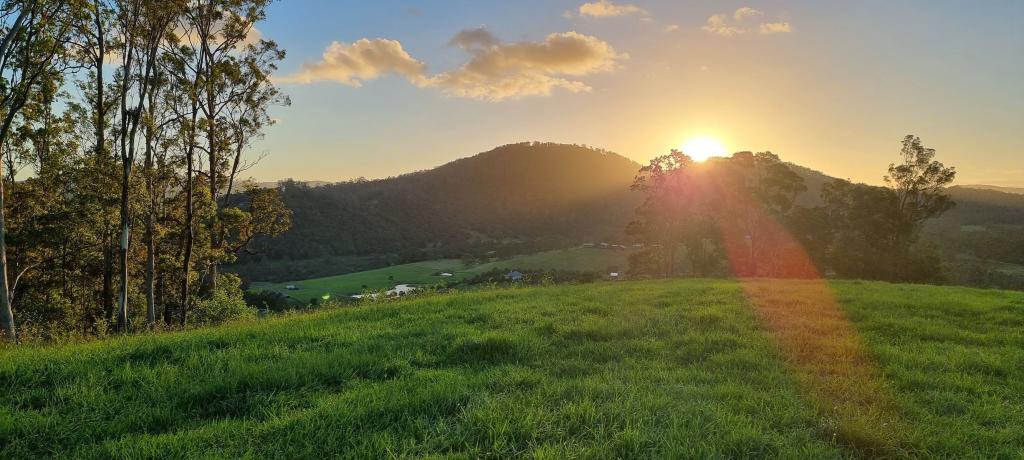237 Norwood Lane, Mount George, NSW 2424