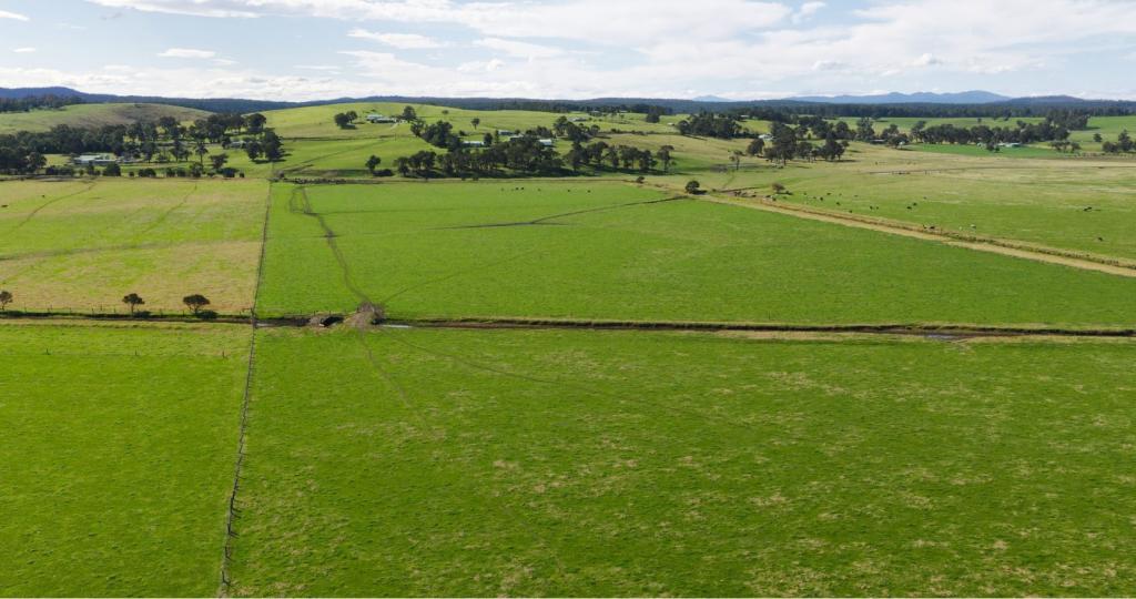 424 PRINCES HWY, ORBOST, VIC 3888