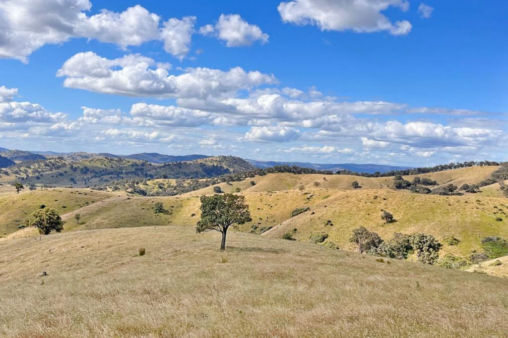 Mount Darling Rd, Wyangala, NSW 2808