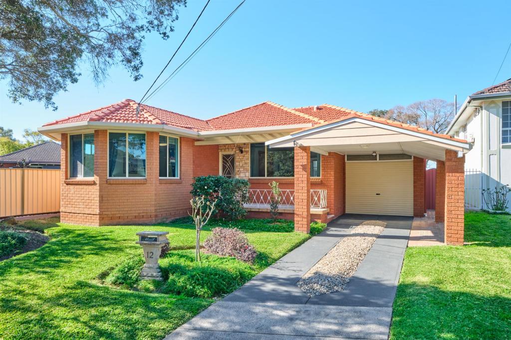 12 Larkview Ave, Chester Hill, NSW 2162
