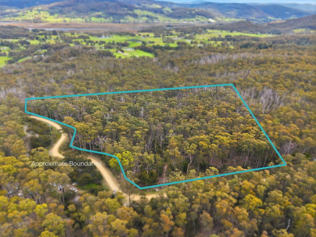 Lot 1 Kellys Rd, Cradoc, TAS 7109