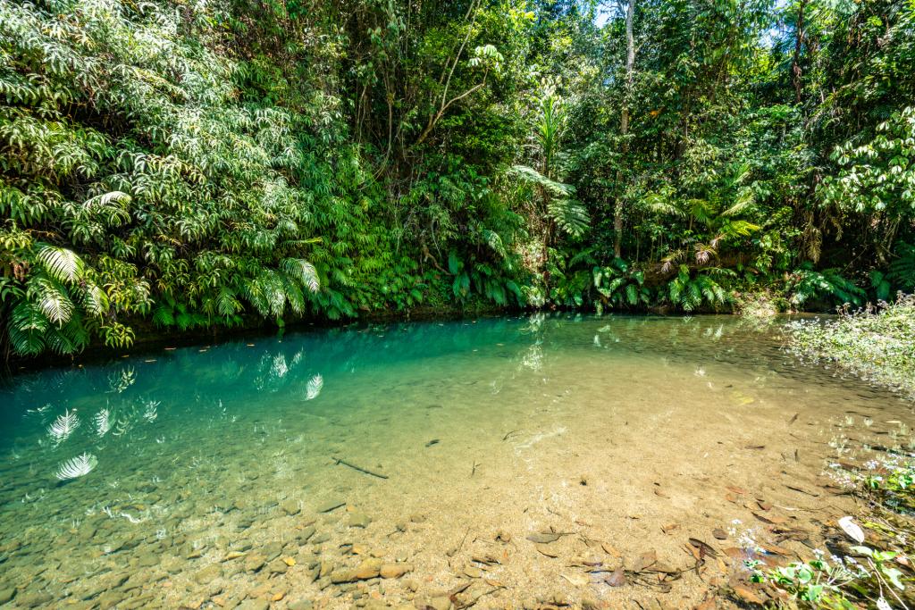 Contact Agent For Address, Japoonvale, QLD 4856