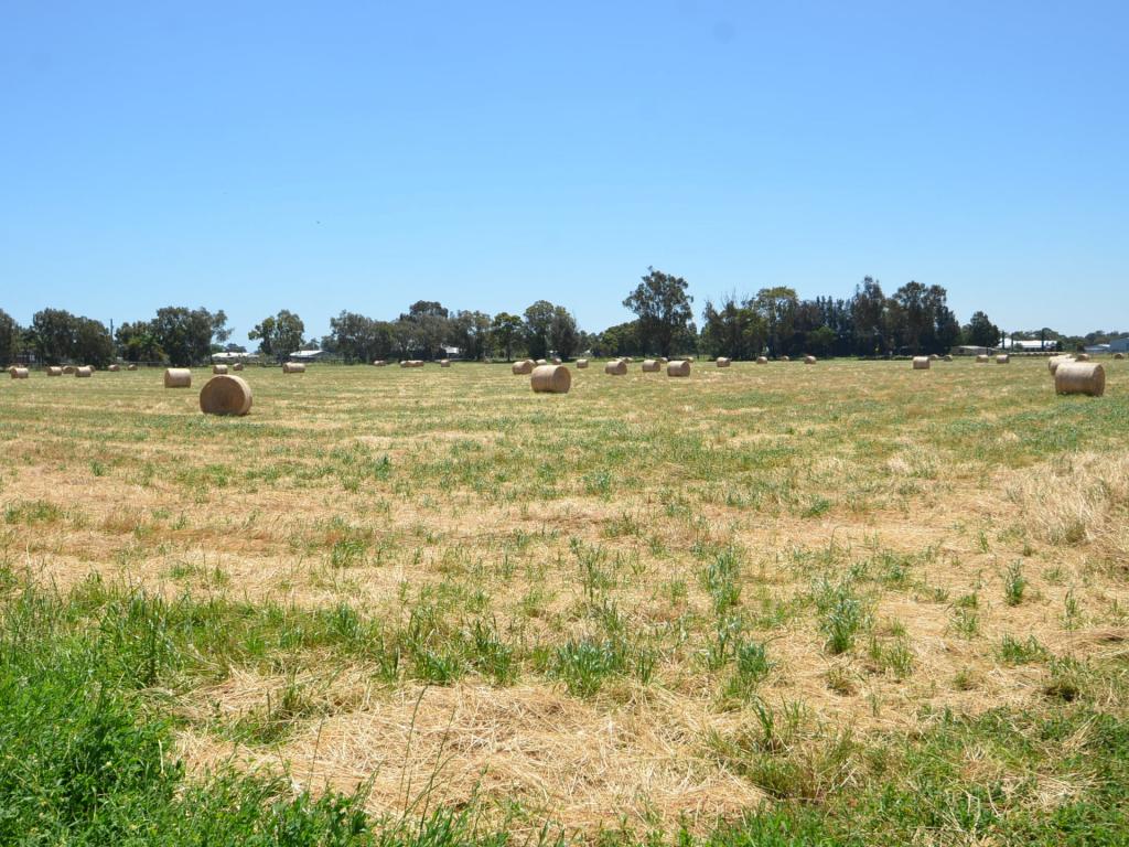 Lot 165 Ninth St, Harvey, WA 6220