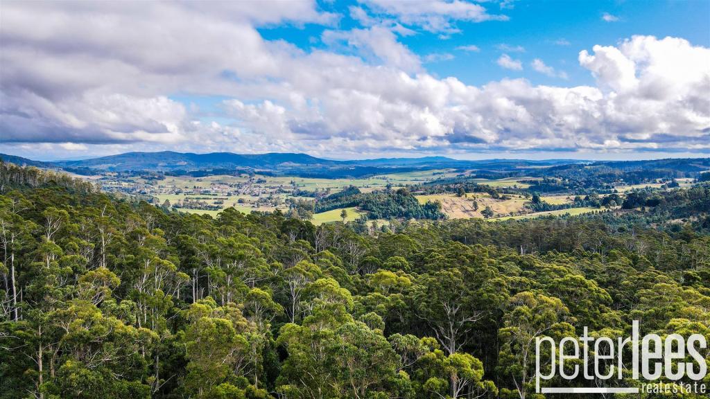 395 Mountain Rd, Lilydale, TAS 7268