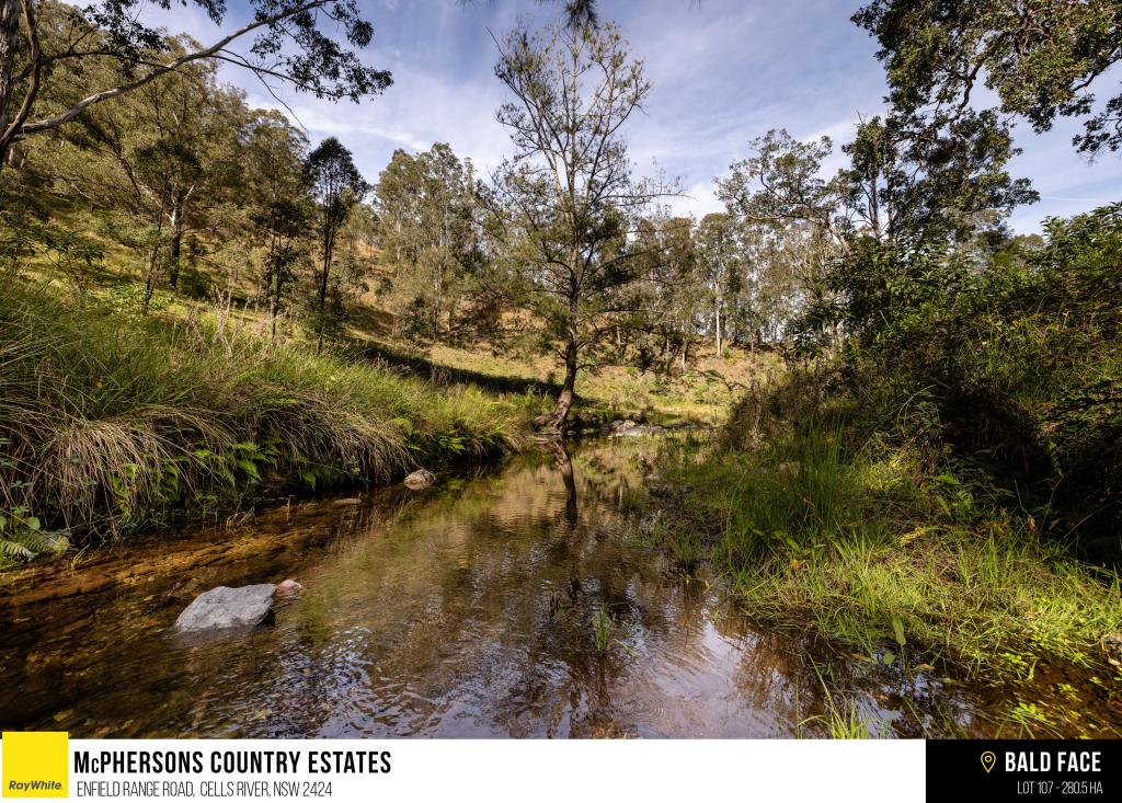 Mcphersons Country Estates, Enfield Range Road, Cells River, NSW 2424