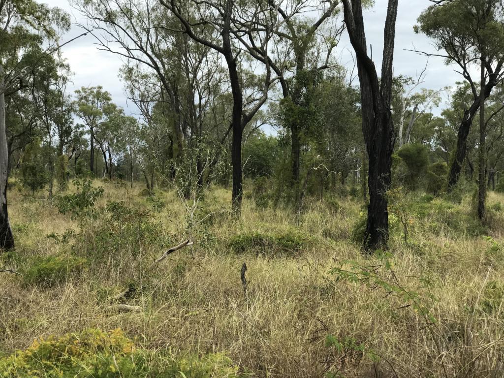 Lot 9 South Yaamba Rd, Alton Downs, QLD 4702