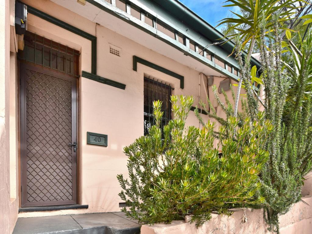 40 WILFORD ST, NEWTOWN, NSW 2042